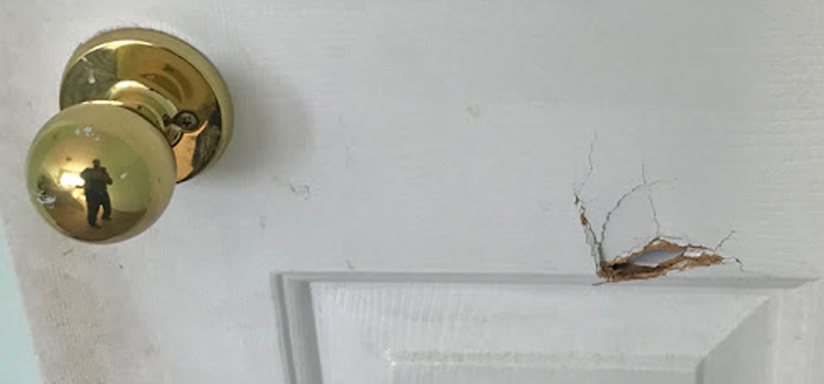 interior door hole repair Silver Lakes